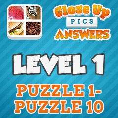 Close Up Pics - Level 1 Answers
