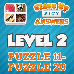 Close Up Pics - Level 2 Answers