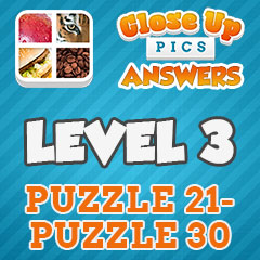 Close Up Pics - Level 3 Answers