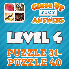 Close Up Pics - Level 4 Answers