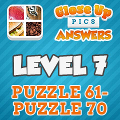 Close Up Pics - Level 7 Answers