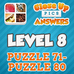 Close Up Pics - Level 8 Answers