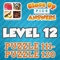 Close Up Pics - Level 12 Answers