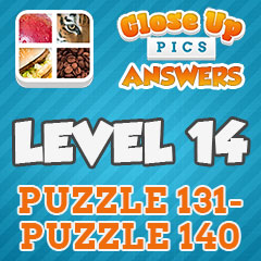Close Up Pics - Level 14 Answers