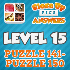 Close Up Pics - Level 15 Answers