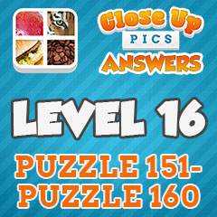 Close Up Pics - Level 16 Answers