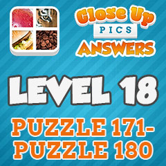 Close Up Pics - Level 18 Answers