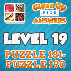 Close Up Pics - Level 19 Answers
