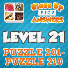 Close Up Pics - Level 21 Answers