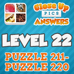 Close Up Pics - Level 22 Answers