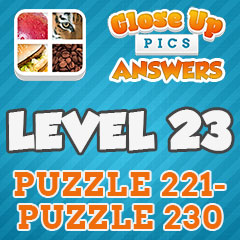 Close Up Pics - Level 23 Answers
