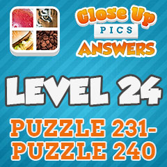 Close Up Pics - Level 24 Answers