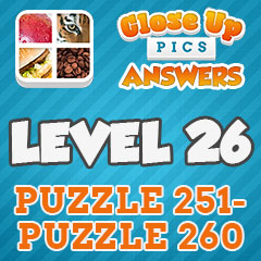 Close Up Pics - Level 26 Answers