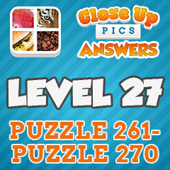 Close Up Pics - Level 27 Answers