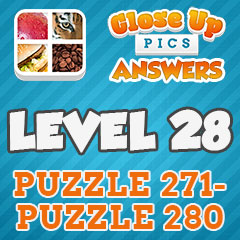 Close Up Pics - Level 28 Answers