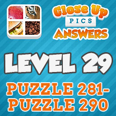 Close Up Pics - Level 29 Answers