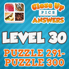 Close Up Pics - Level 30 Answers