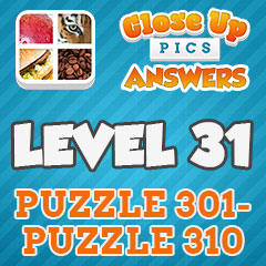 Close Up Pics - Level 31 Answers