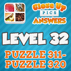 Close Up Pics - Level 32 Answers