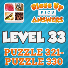 Close Up Pics - Level 33 Answers